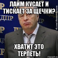 лайм кусает и тискает за щечки? хватит это терпеть!