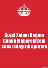 Gozel Xalam Doğum Günün Mubarek!Senı coox ısdeyırık opurem