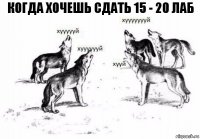 когда хочешь сдать 15 - 20 лаб