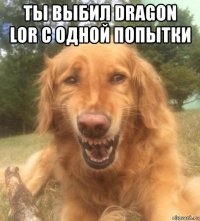 ты выбил dragon lor с одной попытки 