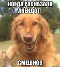 когда расказали анекдот! смешно!!