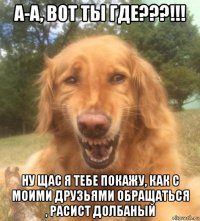 а-а, вот ты где???!!! ну щас я тебе покажу, как с моими друзьями обращаться , расист долбаный