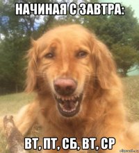 начиная с завтра: вт, пт, сб, вт, ср