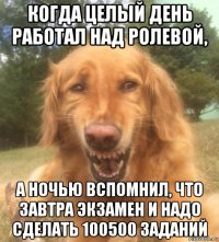 когда целый день работал над ролевой, а ночью вспомнил, что завтра экзамен и надо сделать 100500 заданий