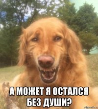  а может я остался без души?