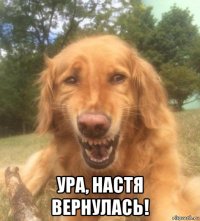  ура, настя вернулась!