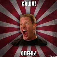 саша! олень!