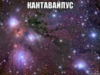 кантавайпус 