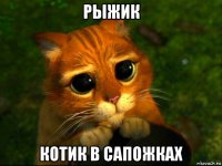 рыжик котик в сапожках