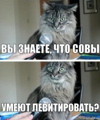 вы знаете, что совы умеют левитировать?