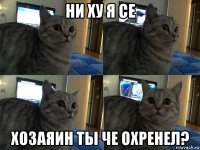 ни ху я се хозаяин ты че охренел?