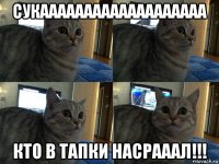 сукааааааааааааааааааа кто в тапки насрааал!!!