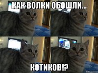 как волки обошли... котиков!?