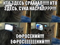 кто здесь сраааал!!!!! кто здесь, сука насрал???!!! ефросений!!! ефросеееееений!!!!