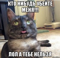 кто нибудь убейте меня!!! лол а тебе нельзя