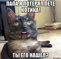 папа я потерял пете котика! ты его нашел?