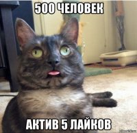 500 человек актив 5 лайков