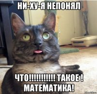 ни-ху-я непонял что!!!!!!!!!!! такое ! математика!