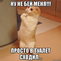 ну не бей меня!!! просто в туалет сходил...