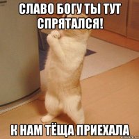 славо богу ты тут спрятался! к нам тёща приехала