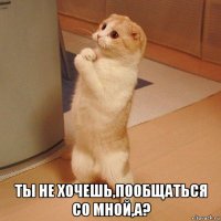  ты не хочешь,пообщаться со мной,а?