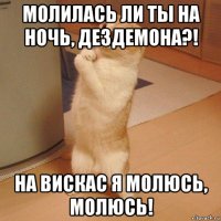 молилась ли ты на ночь, дездемона?! на вискас я молюсь, молюсь!