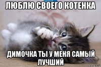 люблю своего котенка димочка ты у меня самый лучший