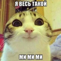 я весь такой ми ми ми