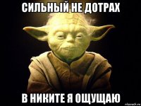 сильный не дотрах в никите я ощущаю