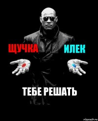 Щучка Илек Тебе решать