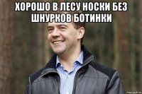 хорошо в лесу носки без шнурков ботинки 