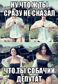 ну что ж ты сразу не сказал что ты собачий депутат