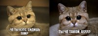 - Чё ты кэтс, сидишь там? - Ты чё такой, а!???