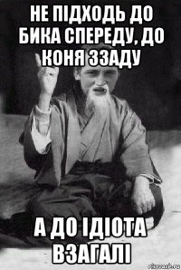 не підходь до бика спереду, до коня ззаду а до ідіота взагалі