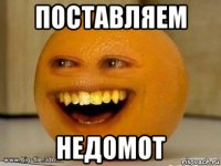 поставляем недомот