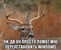  ой, да он просто помог мне переустановить windows