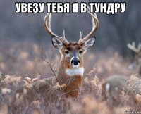 увезу тебя я в тундру 