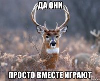 да они просто вместе играют