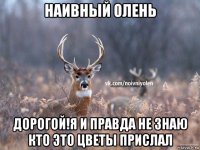 наивный олень дорогой!я и правда не знаю кто это цветы прислал