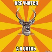 все учатся а я олень