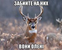 забийте на них вони олені