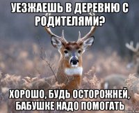 уезжаешь в деревню с родителями? хорошо, будь осторожней, бабушке надо помогать