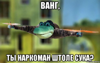 ванг, ты наркоман штоле сука?