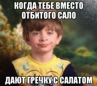 когда тебе вместо отбитого сало дают гречку с салатом