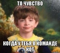 то чувство когда у тебя в команде кот