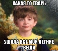 какая то тварь ушила все мои летние вещи