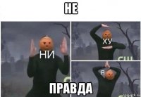 не правда