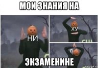 мои знания на экзаменине