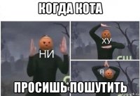 когда кота просишь пошутить