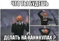 что ты будешь делать на каникулах ?